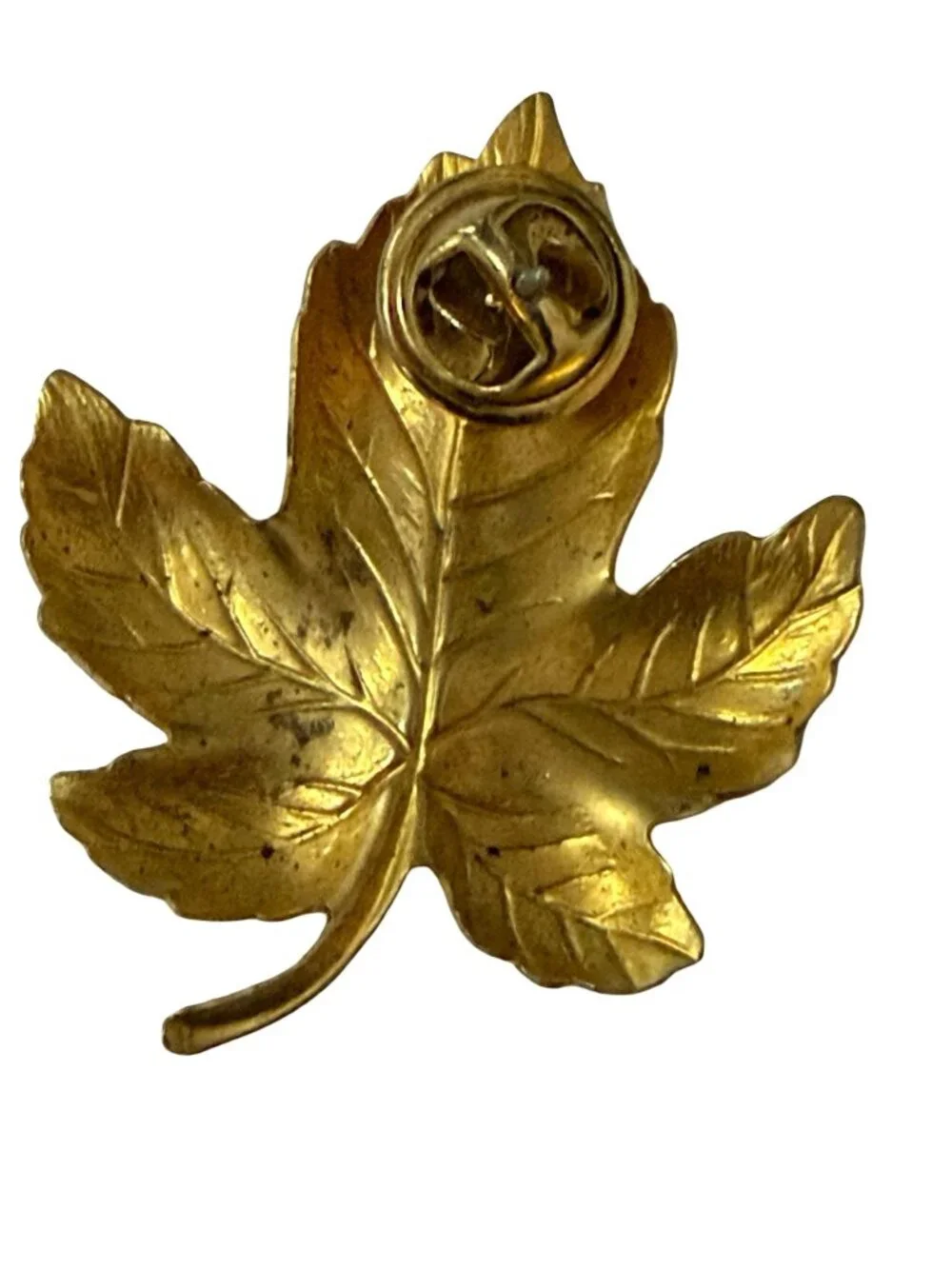 Vintage Gold Tone Fig Leaf Pin 2 Inch Botanical Costume Jewelry